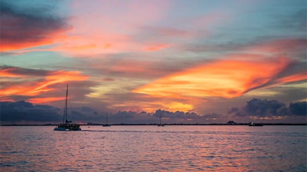 Blog: The Old Man and the Sea by Ernest Hemingway image