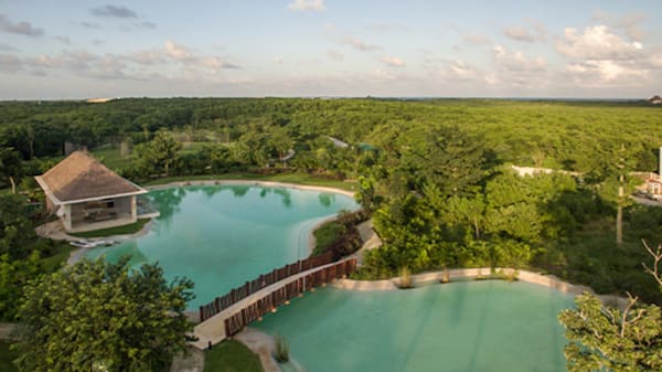 Blog: Focus on your wellness at Platinum Yucatan Princess All Suites Resort & Spa image