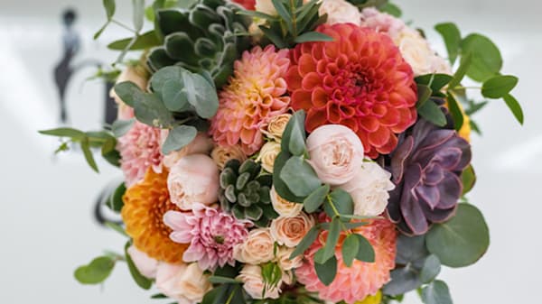 Blog: Cancun: Dahlias image