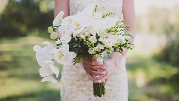 Blog: Punta Cana: White Orchids image