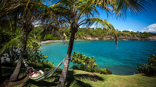 Blog: Grenada image