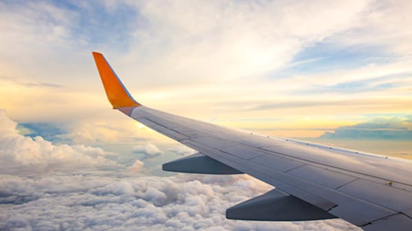 Blog: Purchase travel insurance to protect your investment image