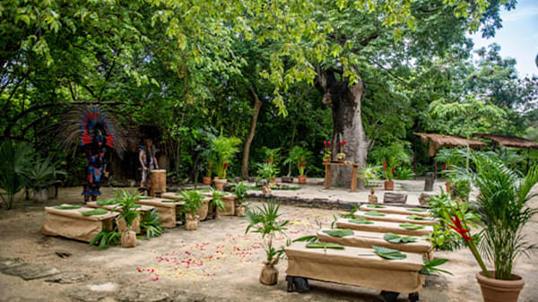 Blog: La Ceiba Venue at Sandos Caracol Eco Resort image