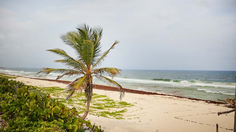 Cozumel, Mexique