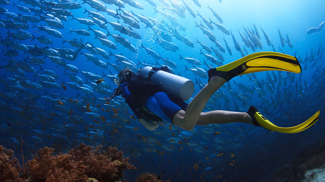 Blog: Scuba diving in Bonaire image