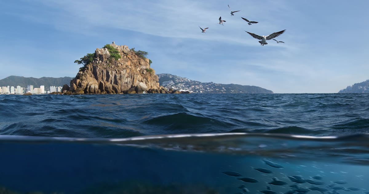 Acapulco 8