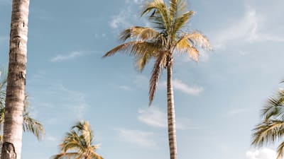 Vacances de dernière minute en République dominicaine