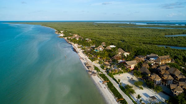 Blog : Get back to nature in Isla Holbox image