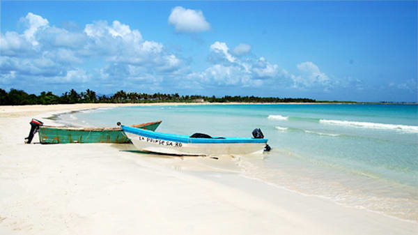 Blog: Saona Island: Quintessential desert island image