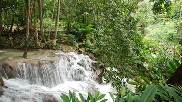 Blog: Check out world-famous attractions in Jamaica image