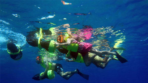 Blog: Power snorkel through the deep blue image
