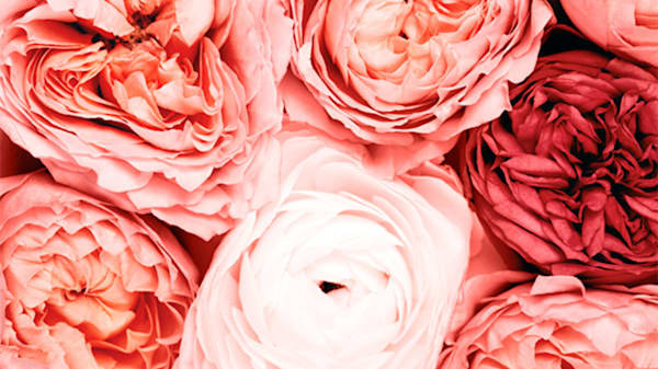 Blog: Wedding day florals image