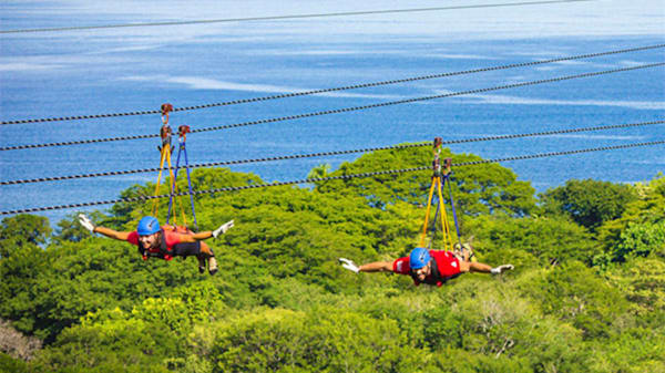 Blog: Mostly As – Soar across the treetops on a zipline adventure image