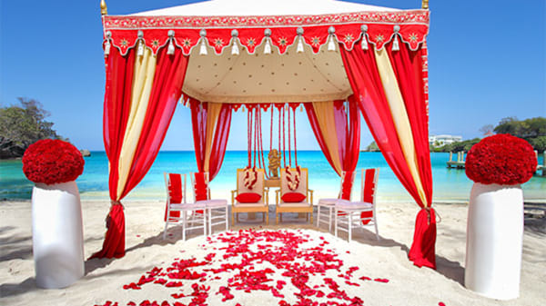 Blog: Bright and vibrant colour schemes image