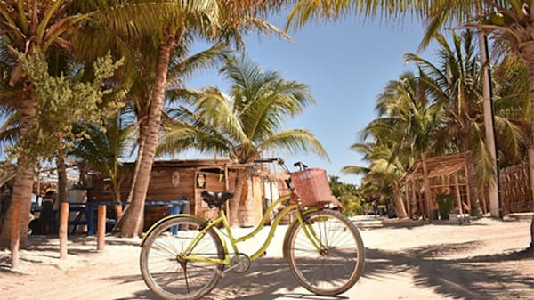 Blog : Enjoy a digital detox at Mystique Holbox by Royalton image