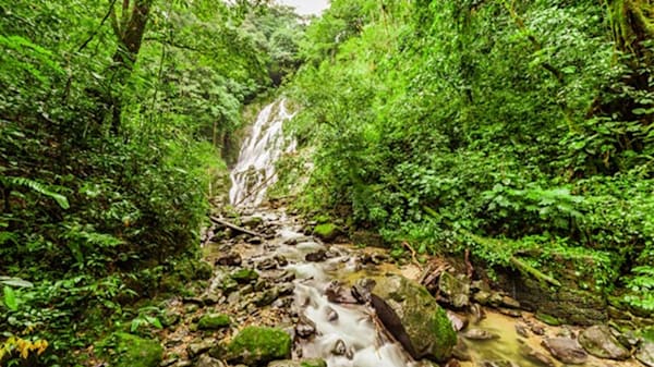 Blog: El Chorro Macho in Panama image