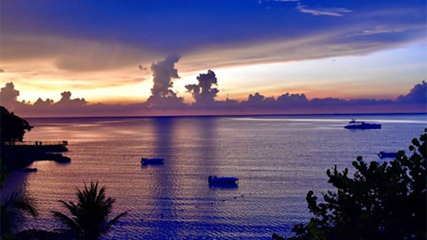 Blog : Decompress with sunset yoga classes image
