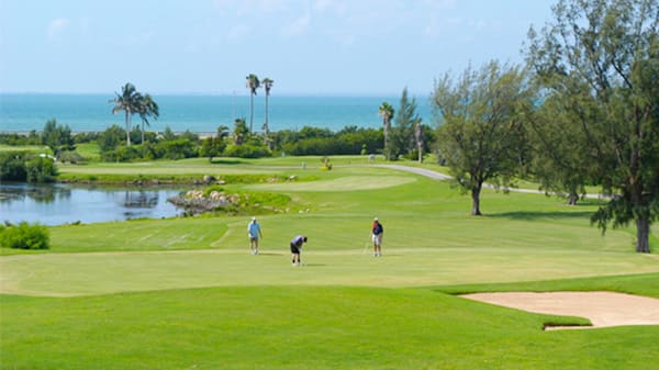 Blog: Hit the links on a championship golf course at Melia Internacional image