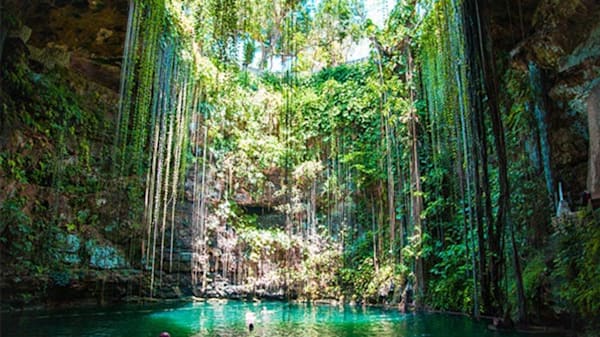 Blog: Swim in a magical Mayan cenote image