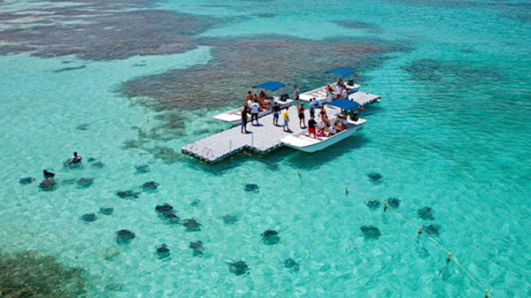 Blog: Swim with stingrays in Antigua image