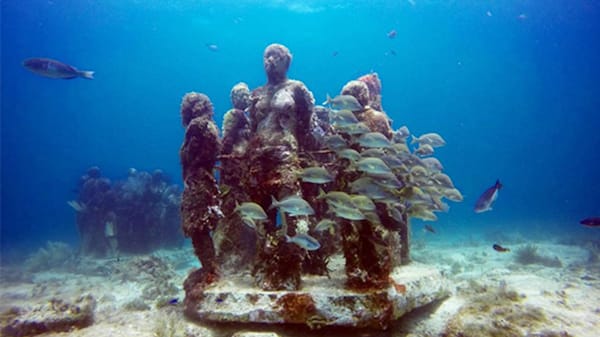 Blog : Dive into the deep blue in Cancun image