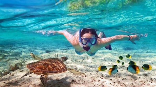 Blog : Snorkel in crystal-clear blue waters in Playa Mujeres image