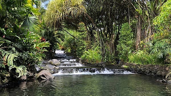 Blog: Soak in volcanic hot springs image