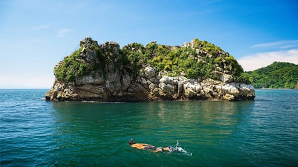 Blog: Spot exotic marine life on a snorkelling adventure image