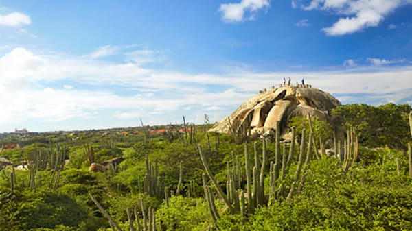 Blog : Explore unique landscapes in Aruba image