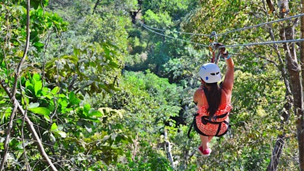 Blog : For the thrill-seeker: Zipline across the jungle image