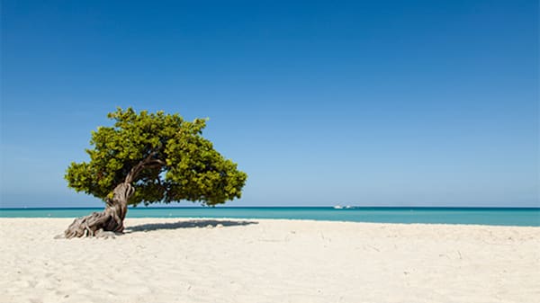 Blog: Eagle Beach (Aruba) image