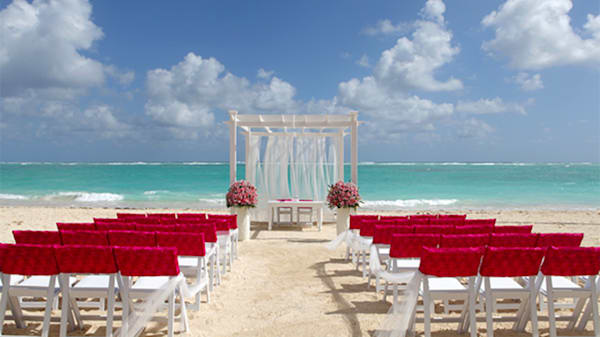 Blog : Say “I do” at Grand Palladium Lady Hamilton Resort and Spa image