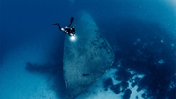 Blog: Shore dive in the famous underwater sites of Bonaire image