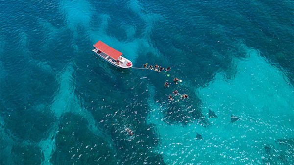 Blog: Explore the Caribbean’s largest barrier reef in Roatán image