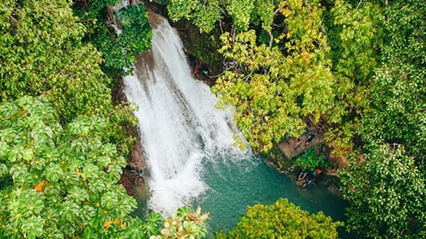 Blog : Discover Jamaica’s lush landscapes in Ocho Rios image