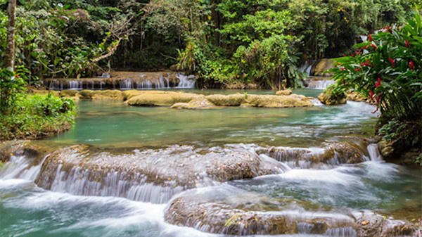 Blog : Explore lush jungles and picturesque waterfalls image