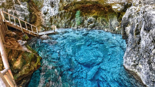 Blog : Explore mystical jungles and hidden cenotes image