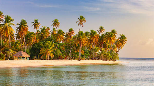 Blog : Swiss Family Robinson | Tobago image