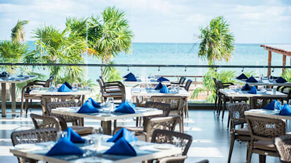 Blog : Gourmet dining at Hideaway at Royalton Riviera Cancun image