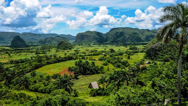 Blog: Viñales National Park in Cuba image