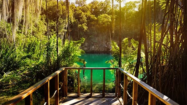 Blog: Los Tres Ojos National Park in the Dominican Republic image