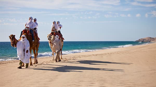 Blog: Ride a camel through the desert image
