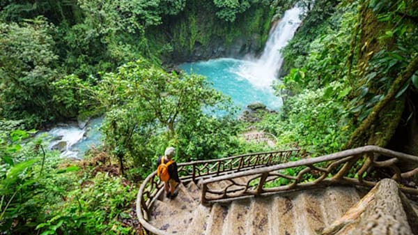 Blog: Explore the lush rainforest at Planet Hollywood Beach Resort Costa Rica image