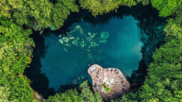 Blog: Snorkel in a cenote at Sandos Caracol Eco Resort image