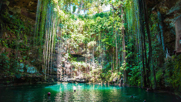 Blog: Swim in the mystical waters of a Mayan cenote image