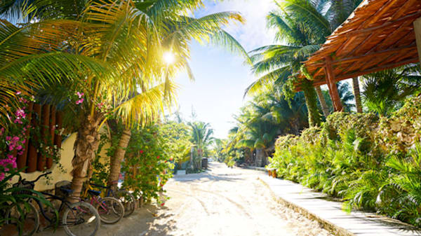 Blog: Bike along the untouched shores of Isla Holbox image