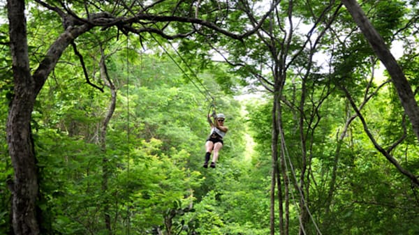 Blog: Zipline above the lush treetops of Mazatlán image