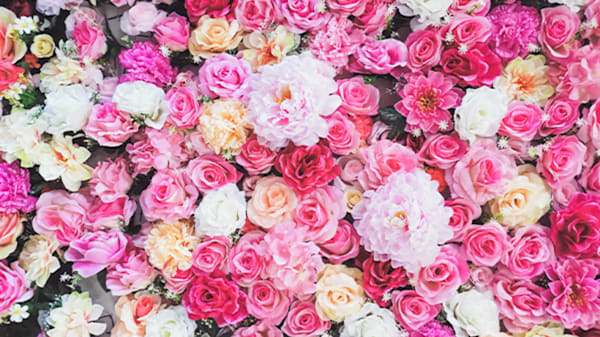 Blog: Not having an idea of your guest list image